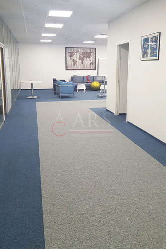 Ковровая плитка Balsan Pilote в коридоре две коллекции