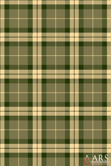 TARTAN Impulse tartan green Зеленый Ковролин, ковровые покрытия  Brintons AGNELLA