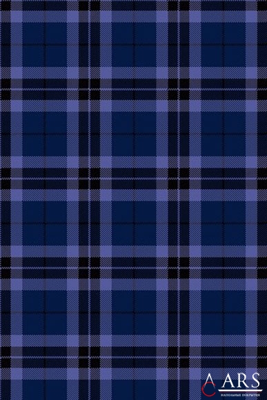TARTAN Impulse tartan navy Синий Ковролин, ковровые покрытия  Brintons AGNELLA