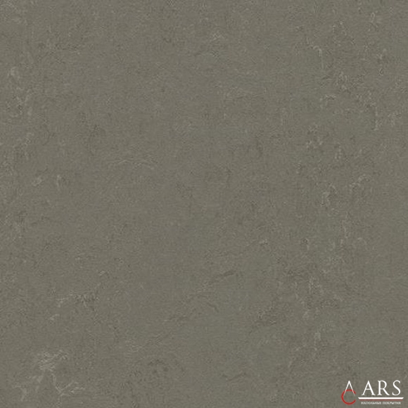MARMOLEUM CLICK 333723 Бежевый Качественный линолеум Forbo