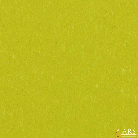 MARMOLEUM SOLID 3646 Зеленый Качественный линолеум Forbo