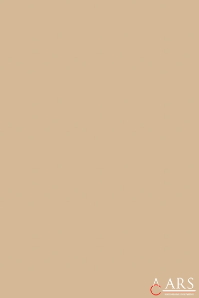SELF Natural self dark beige Бежевый Ковролин, ковровые покрытия  Brintons AGNELLA