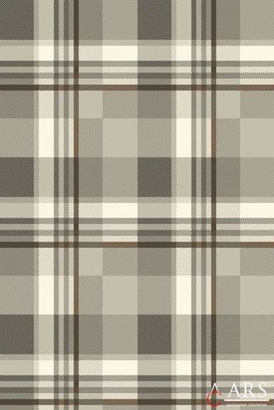 PANE Natural pane light grey Серый Ковролин, ковровые покрытия  Brintons AGNELLA