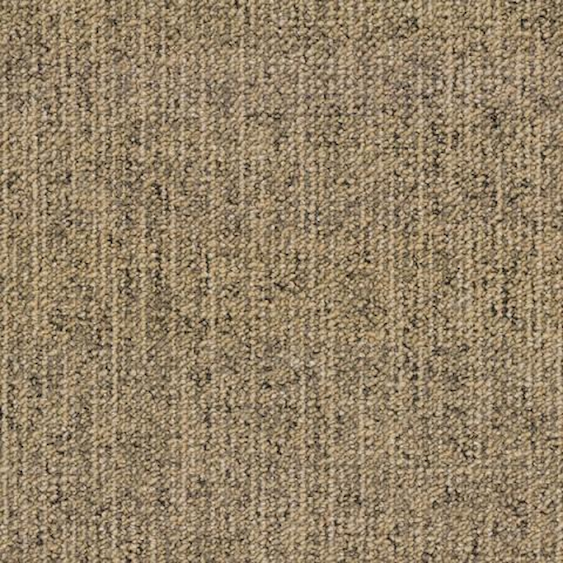 Canvas 815 Olive Коричневый Ковровая плитка Bloq