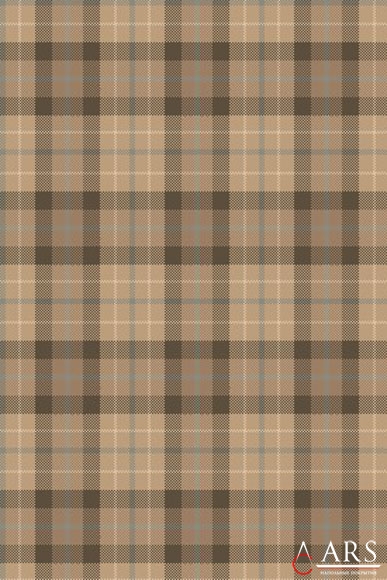 GRAFIT Natural dark brown Коричневый Ковролин, ковровые покрытия  Brintons AGNELLA
