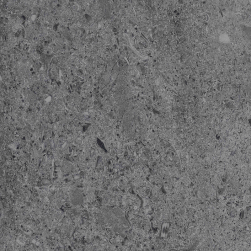 Loose Lay Stone 8509 WATER LIMESTONE DARK GREY Серый Дизайн-плитка пвх (lvt) Vertigo